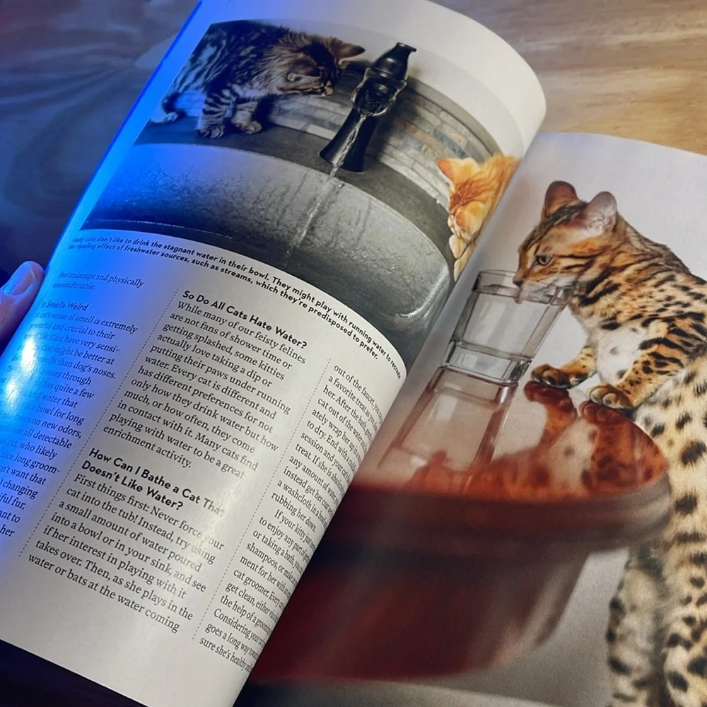📖 M3 - Picture 13 of 15